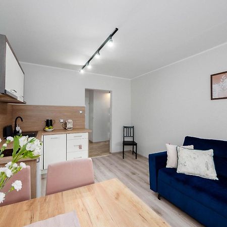 Best Choice 2-Bedroom Apartment Plock Bagian luar foto