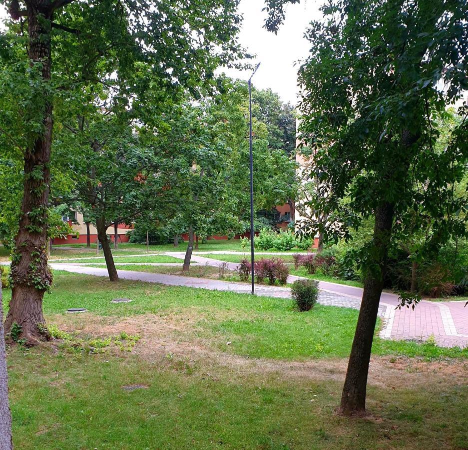 Best Choice 2-Bedroom Apartment Plock Bagian luar foto