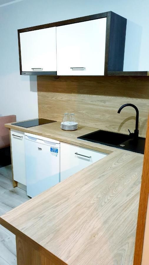 Best Choice 2-Bedroom Apartment Plock Bagian luar foto